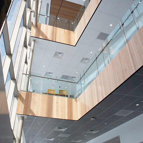 Ceiling Image Cornerstone University Center for Science and Technology