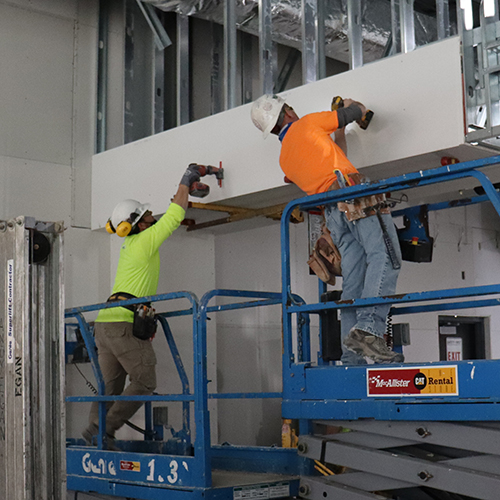 Employees installing drywall